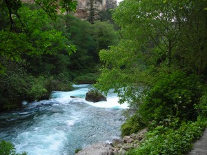 135  fontaine de vaucluse