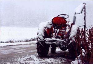 DOATO MENZIONE COMUNE SAN BENIGNO