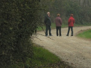 Una passeggiata pomeridiana